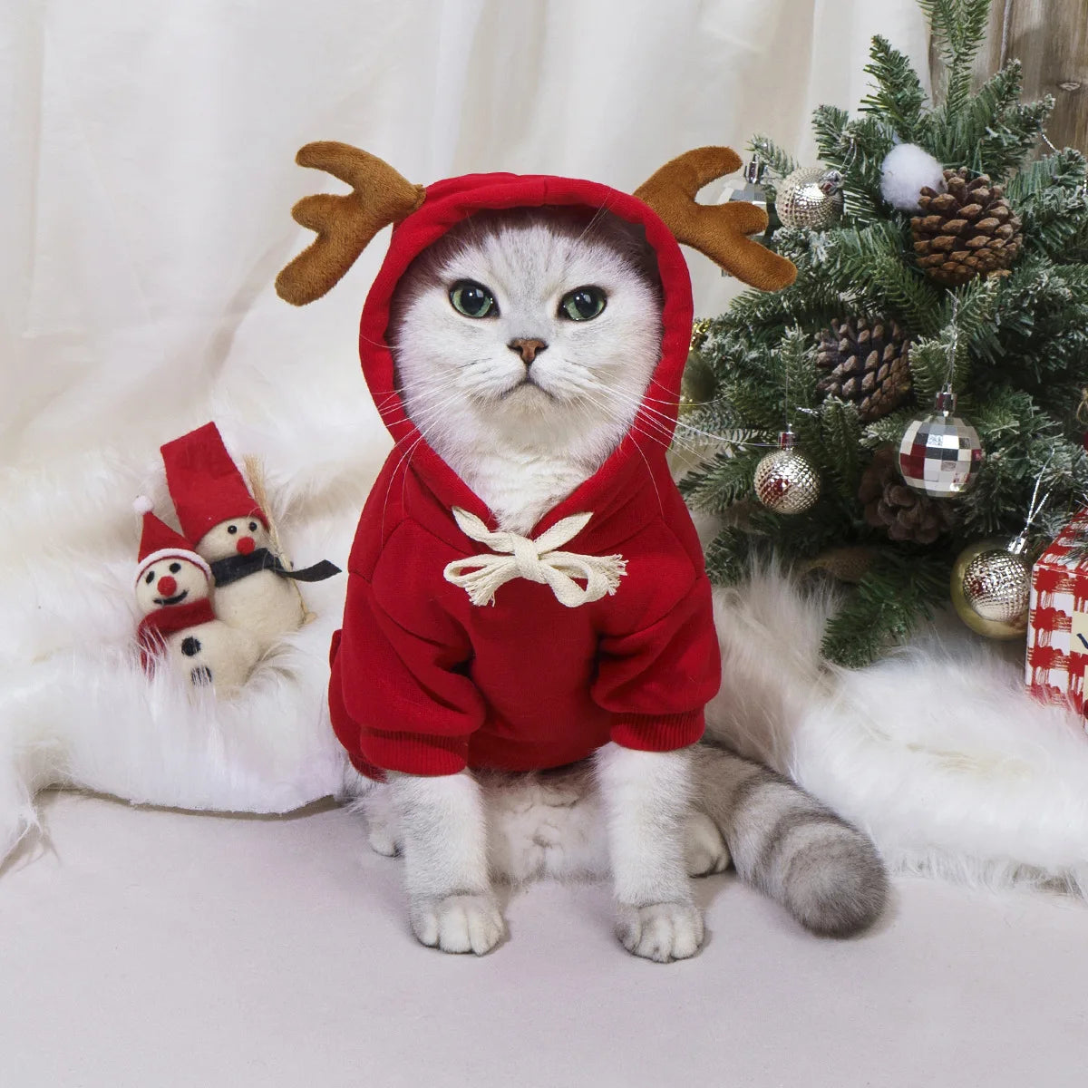 Mantau de noël pour chiot