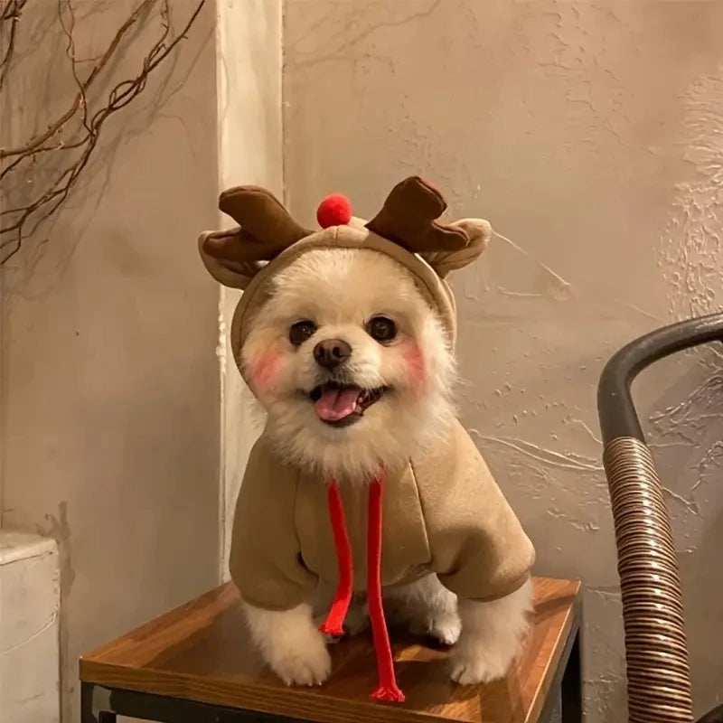 Mantau de noël pour chiot