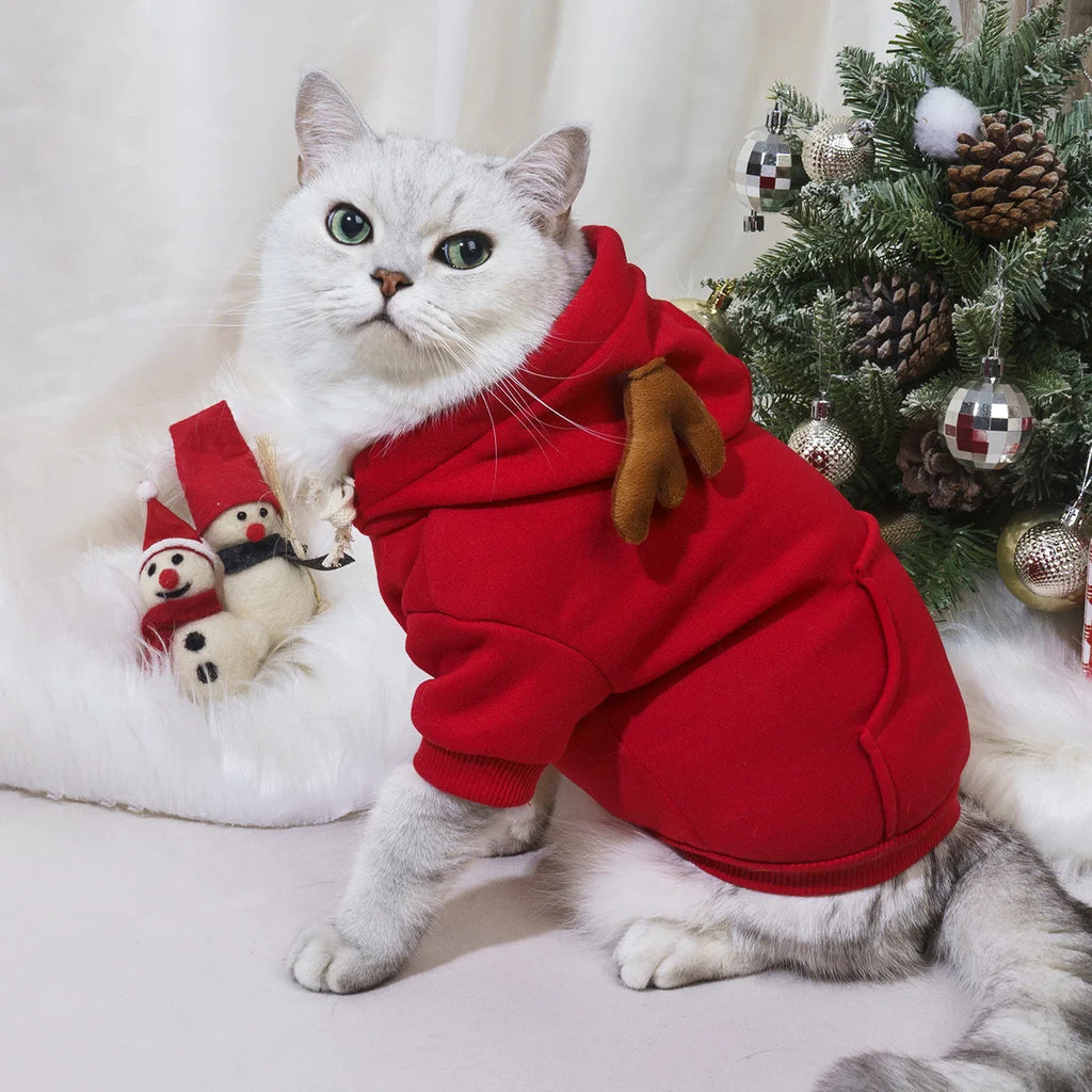 Mantau de noël pour chiot