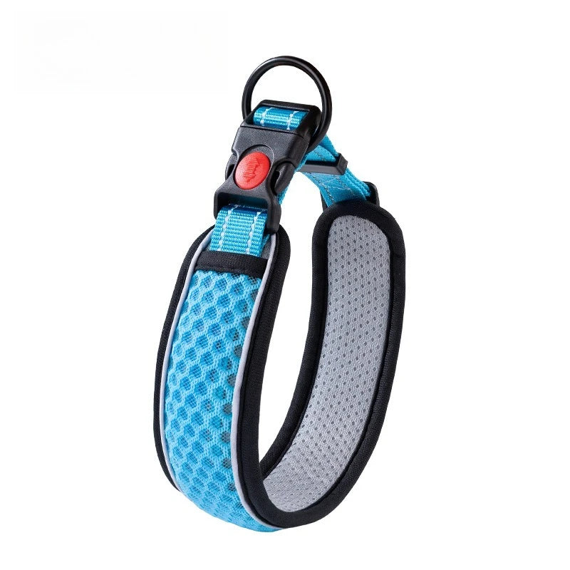 Collier et Laisse pour Chien – Ensemble Collier de Promenade Réglable pour Chiot et Chien