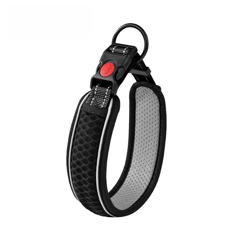 Collier et Laisse pour Chien – Ensemble Collier de Promenade Réglable pour Chiot et Chien