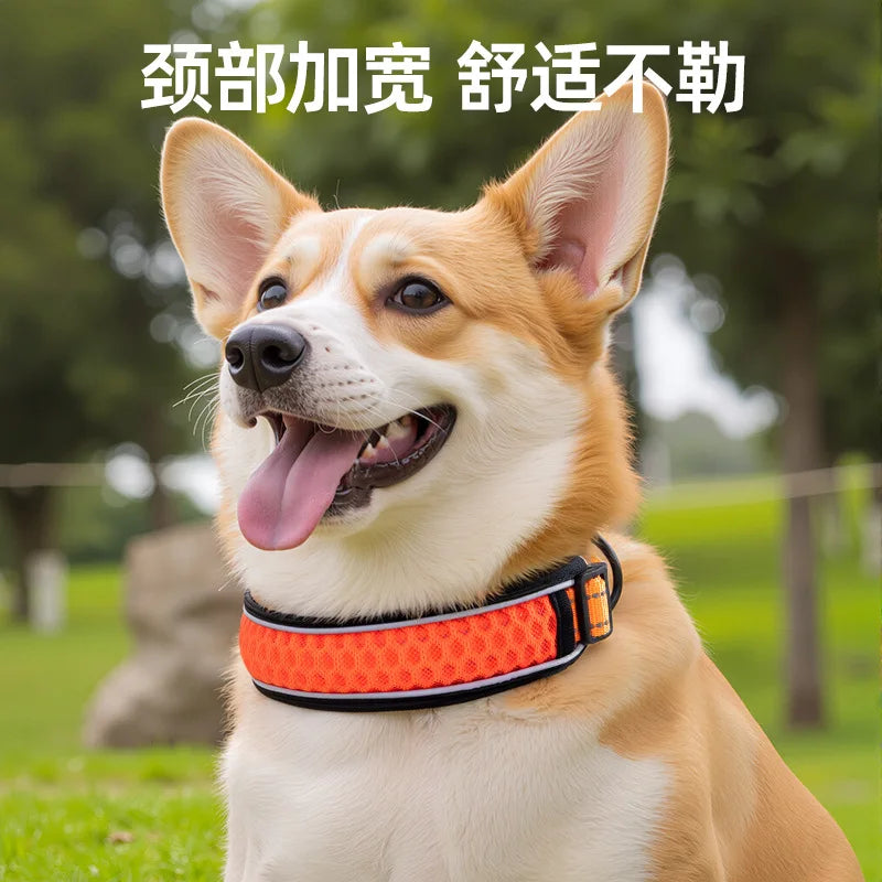 Pet Collar, Neck Collar, Neck Set, Dog Walking Leash, Dog Chain, Collar, Pet Dog Collar