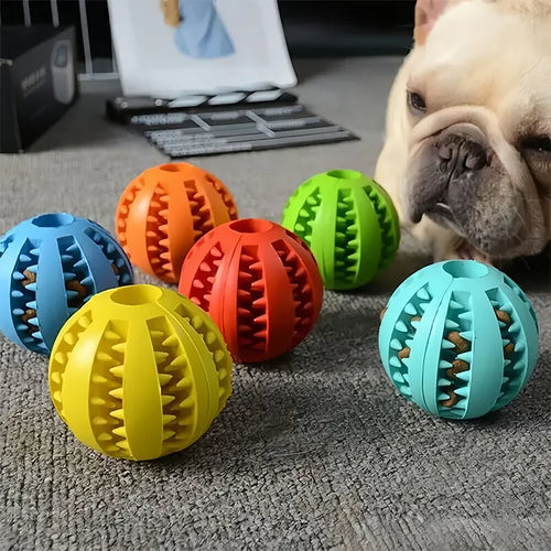 Balle Jouet Chien en Caoutchouc – Jouet à Mâcher pour Petit et Grand Chien, Stimulation Mentale